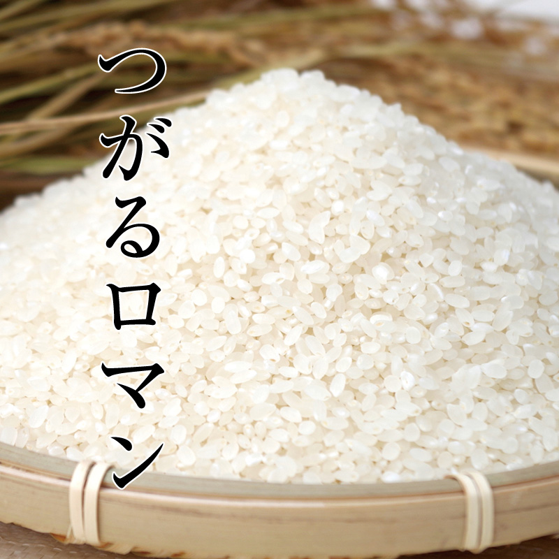 青森県産　30年　つがるロマン中米の白米24kg食品/飲料/酒